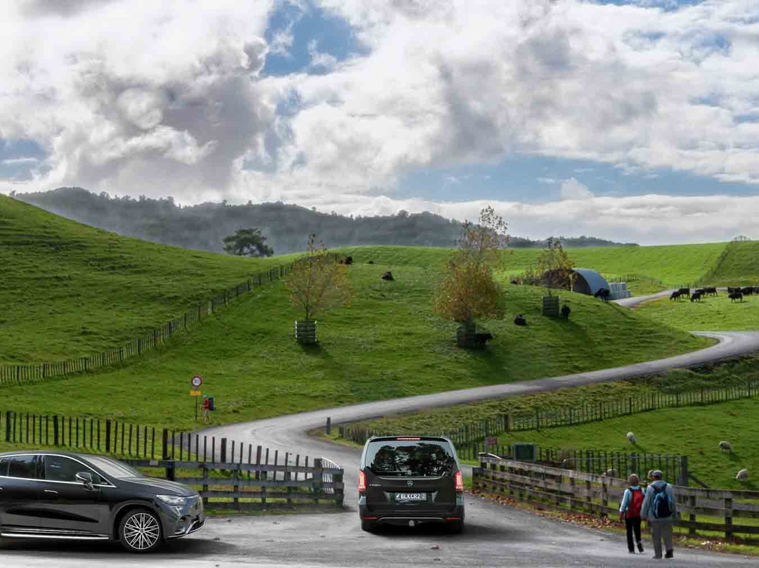 Black Car Transfers & Tours-奥克兰中心地区必去景点