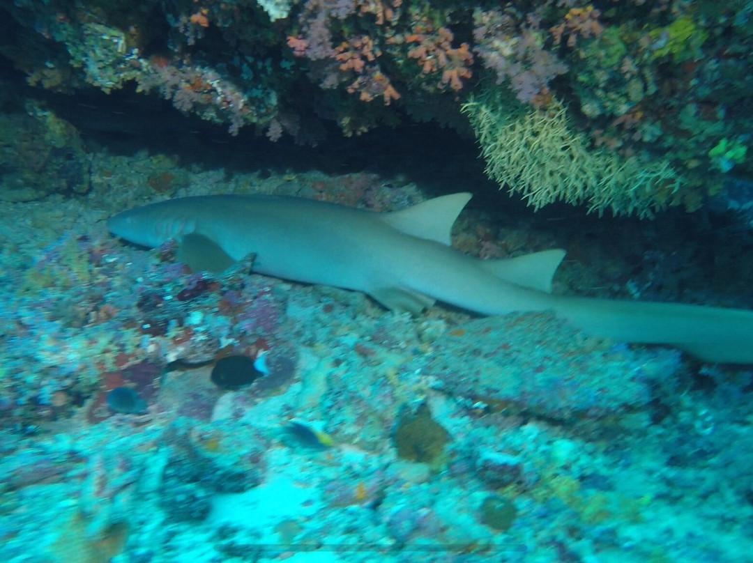 Manta Nomad Divers-Maalhos必去景点