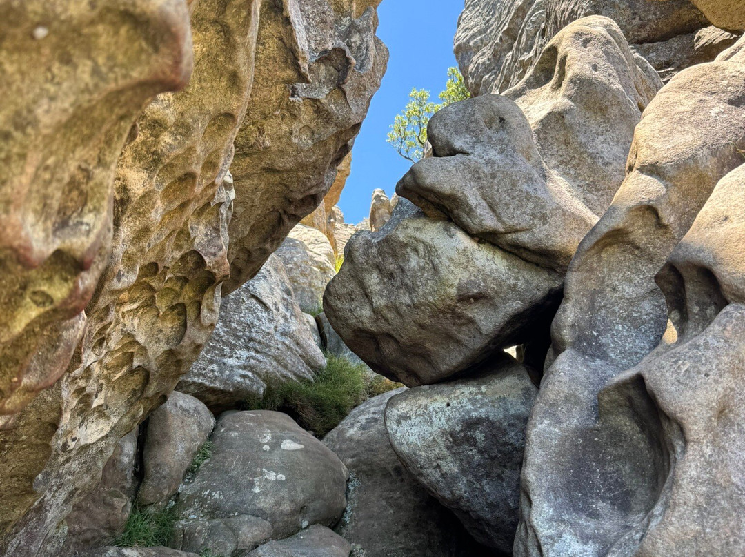 India Venster Trail-开普敦中心区必去景点