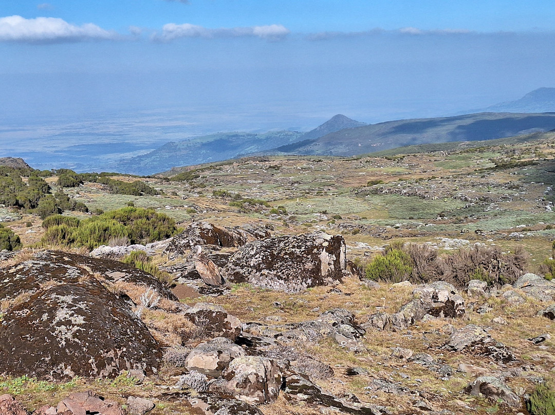 Bale Mountains Outstanding Tours-亚的斯亚贝巴必去景点