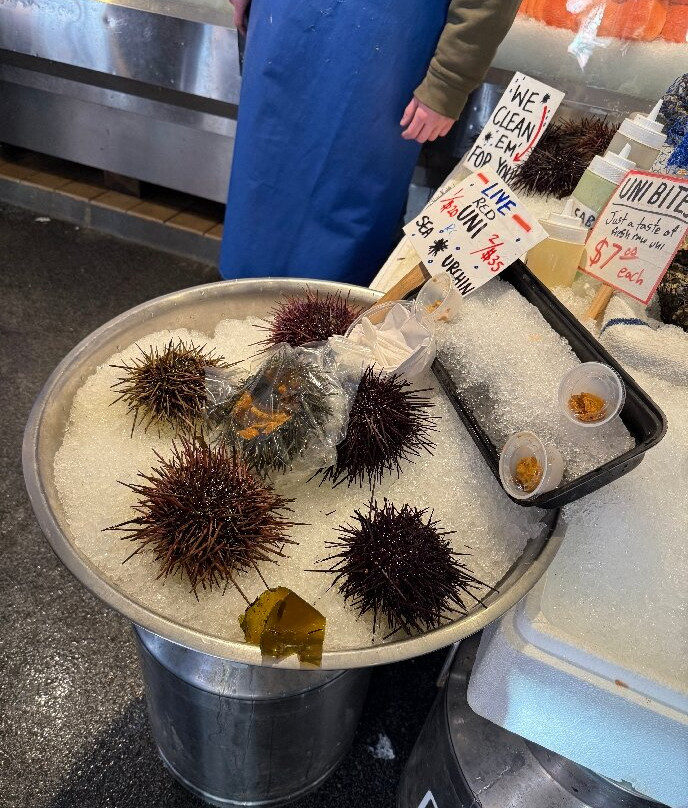 派克鱼市-西雅图必去景点