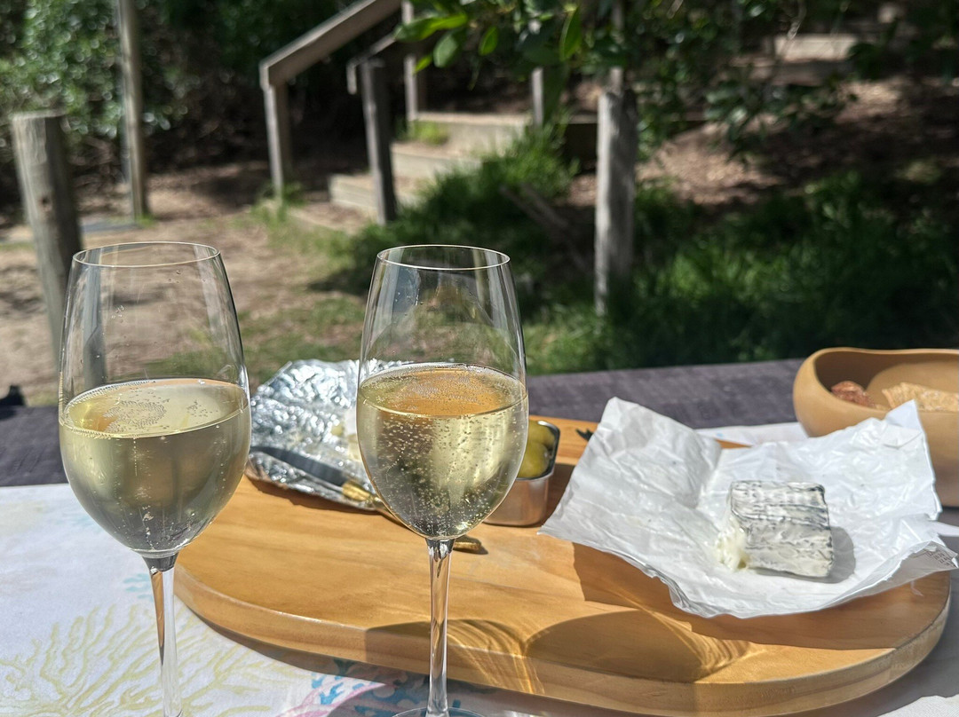 Mornington Peninsula Plunge Wine Tours-巴尔纳灵必去景点