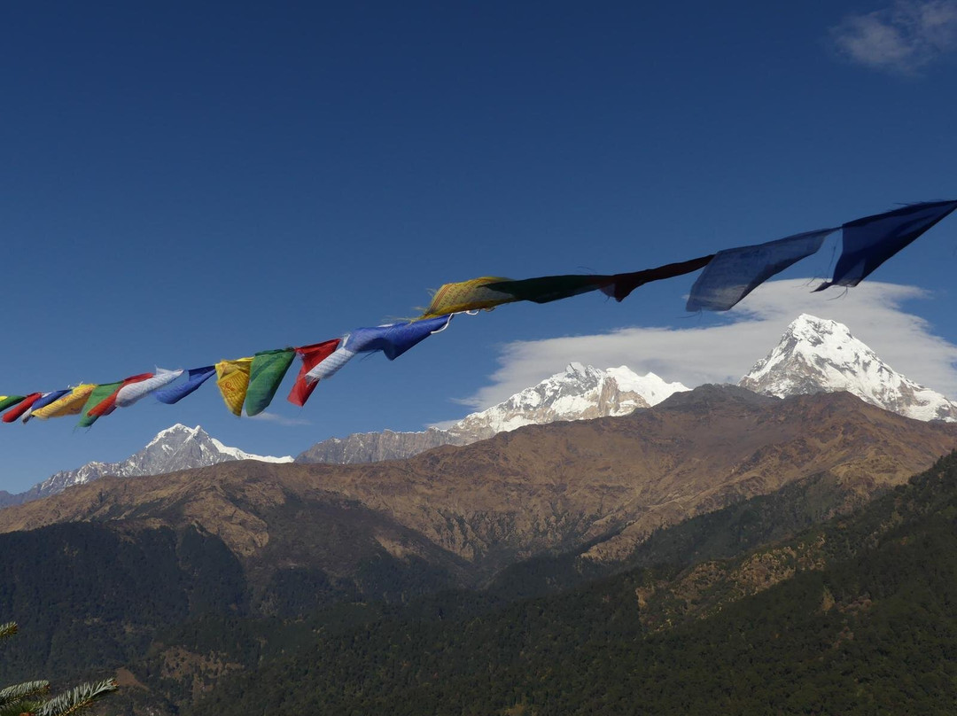 Amazing Nepal Trek & Expedition-加德满都必去景点