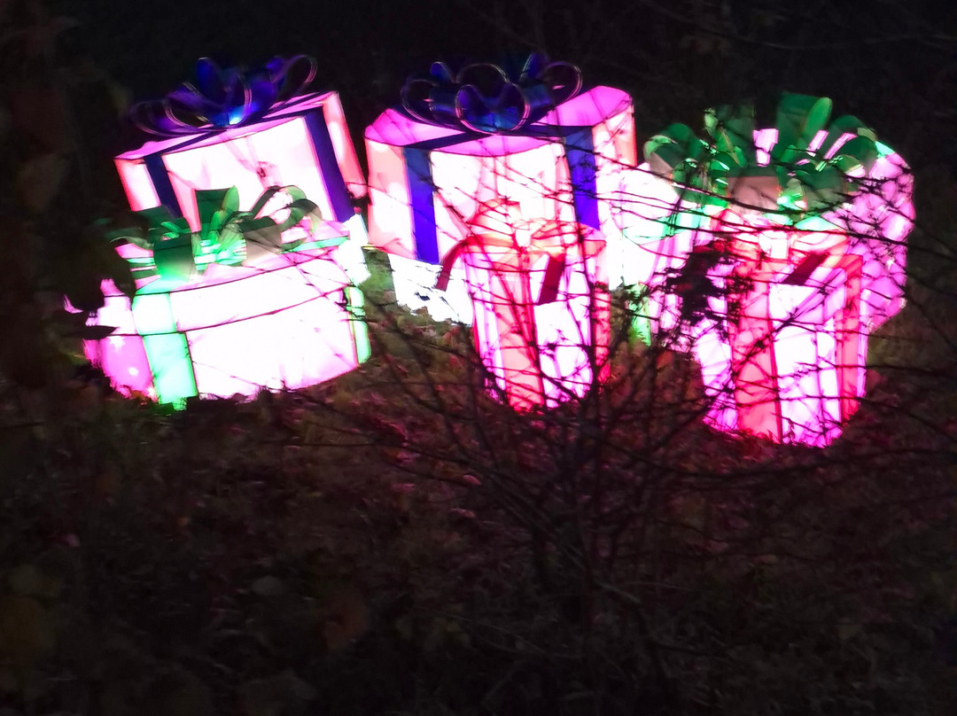 Yorkshire Wildlife Park-Auckley必去景点