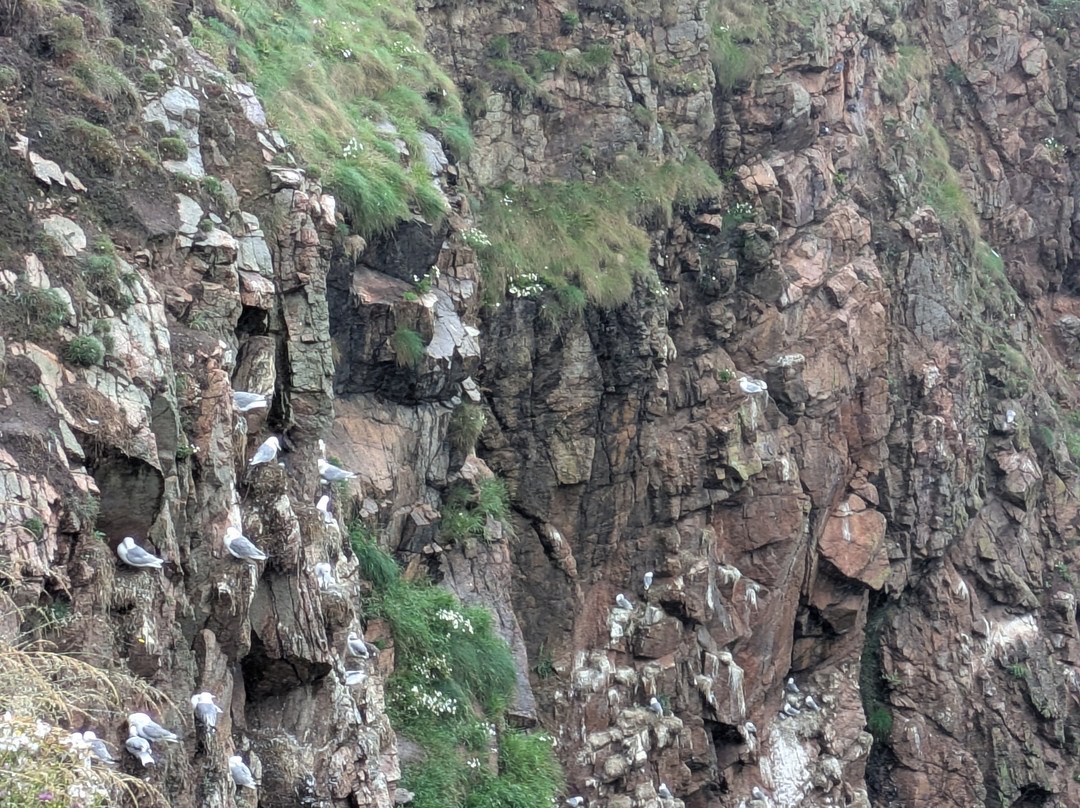 Bullers of Buchan-Peterhead必去景点