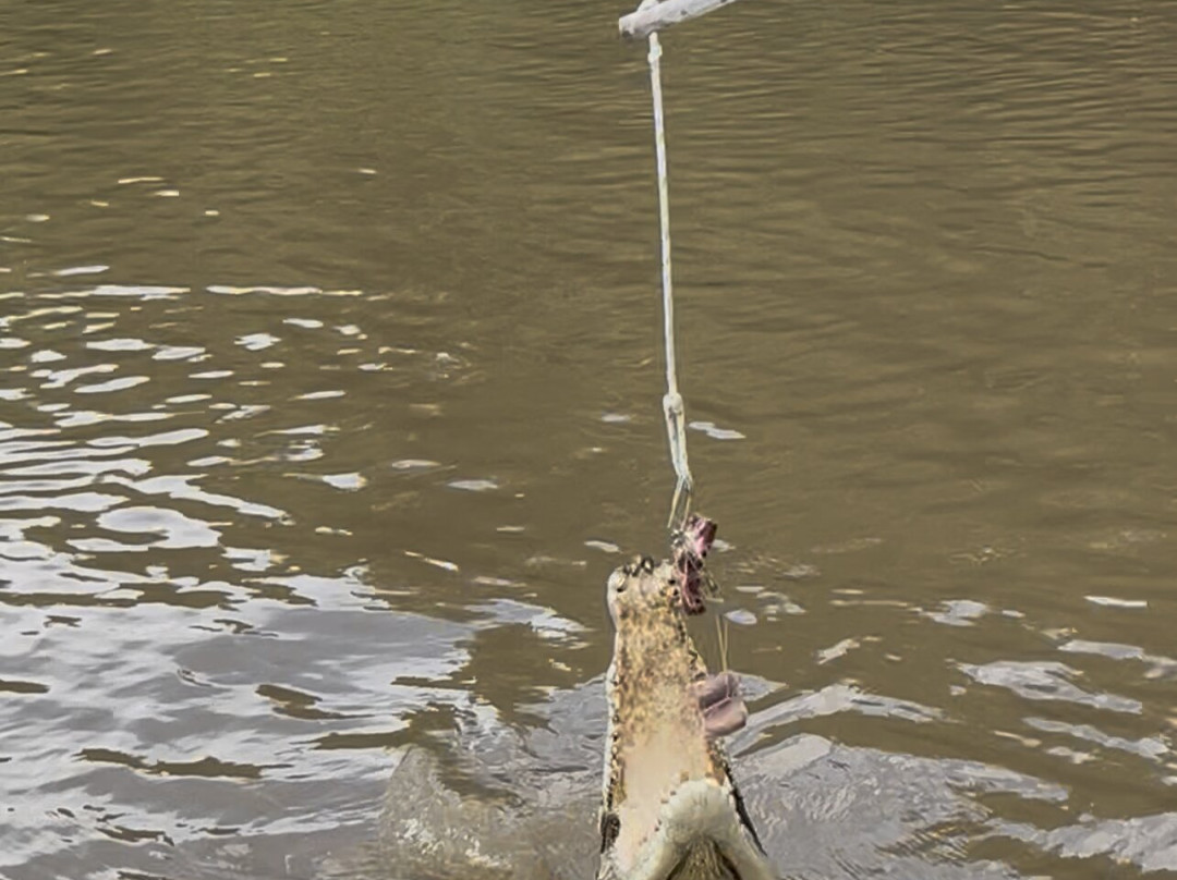 Spectacular Jumping Crocodile Cruise-达尔文市必去景点