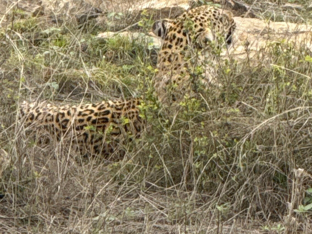 Famba Travel & Safaris-参宁必去景点