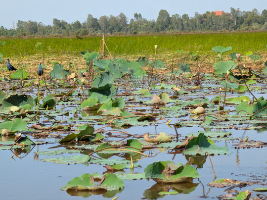 Asia Pacific Travel Vietnam-河内必去景点