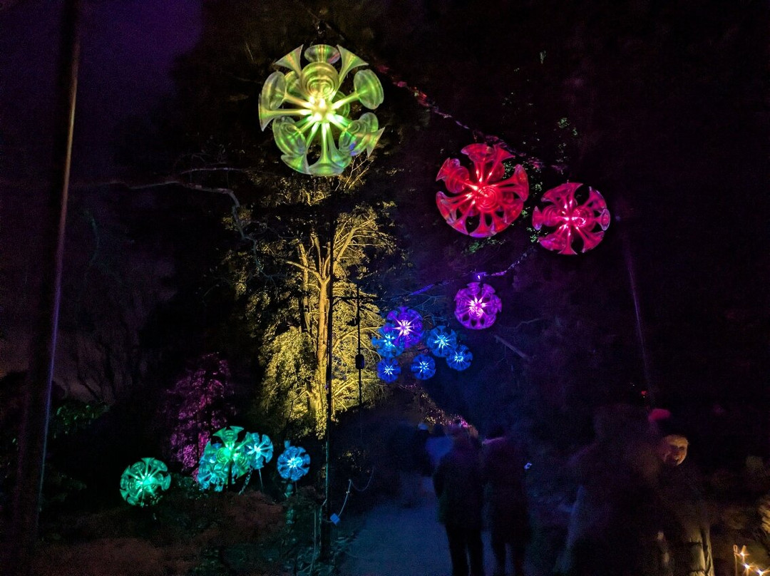 Leonardslee Illuminated-Lower Beeding必去景点