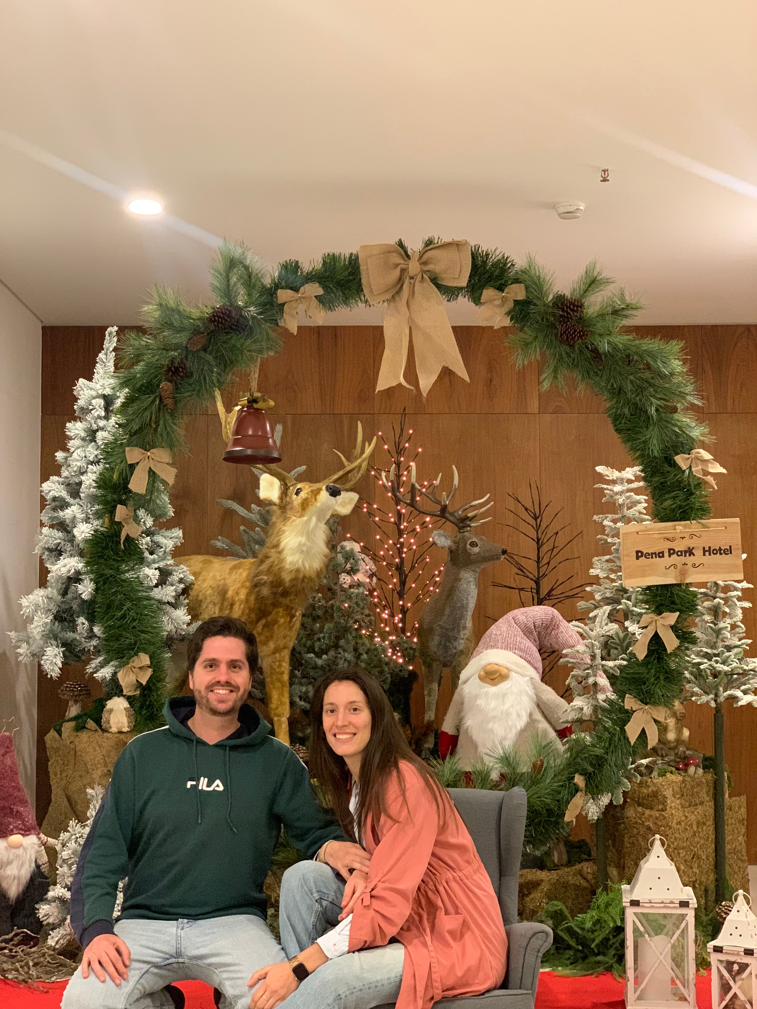 Pena Park Hotel-官方