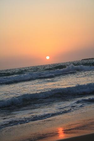 B&B La Tarentilla主图