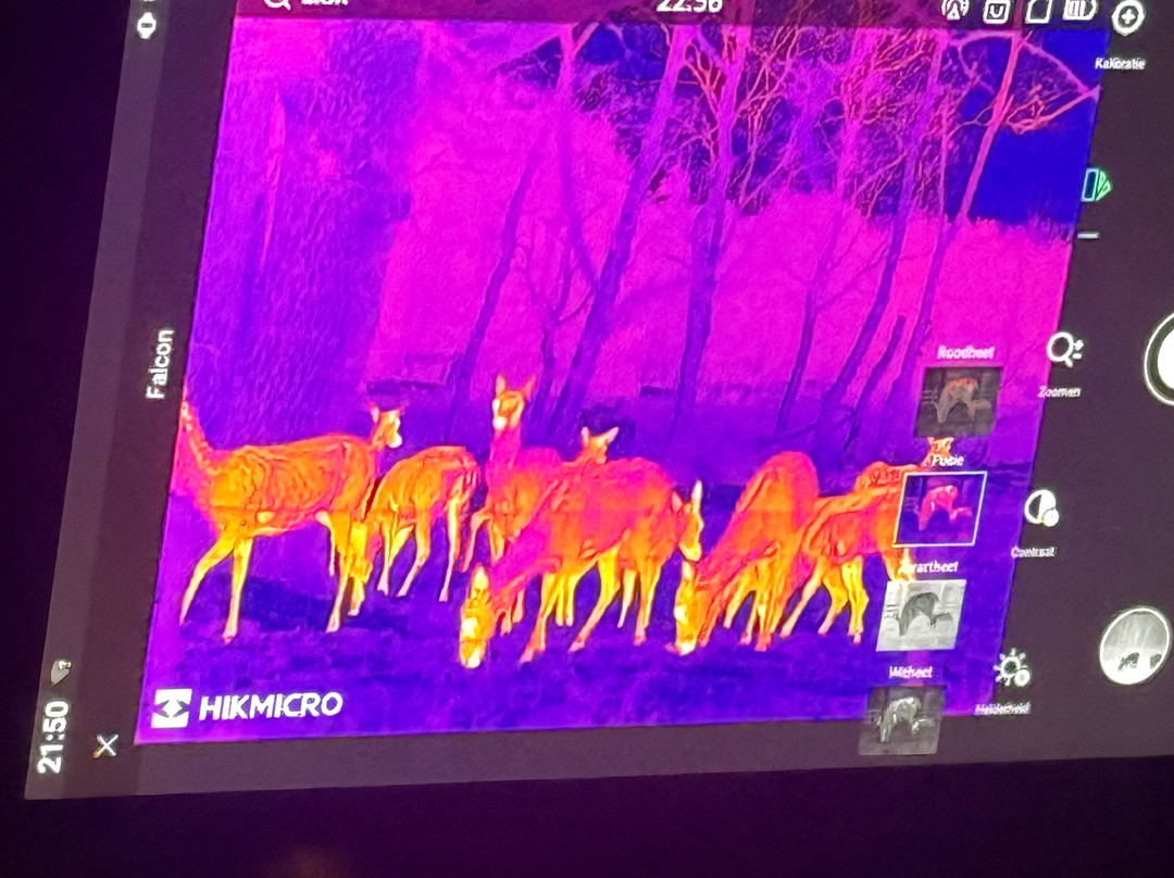 Wildpraat Veluwe-Beekbergen必去景点