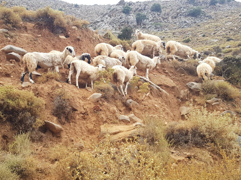 Nomad Secret Travel-雷斯蒙必去景点