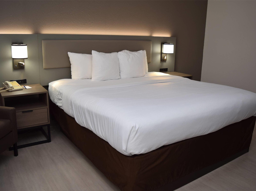 Comfort Inn Carrier Circle