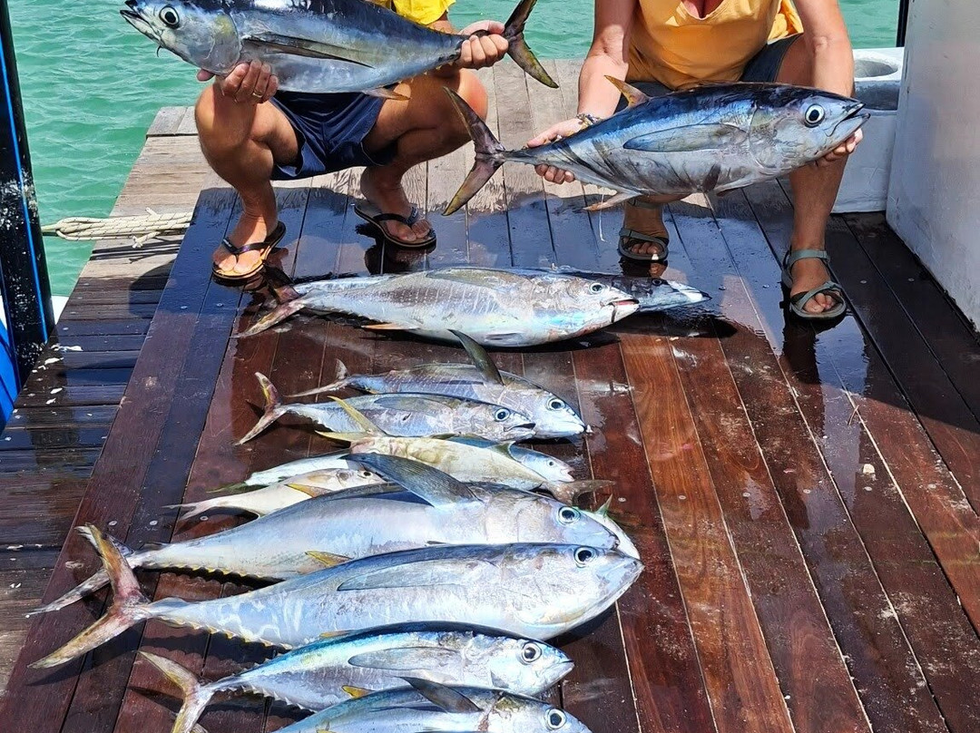 Le Trio Fishing-阿尔比恩必去景点
