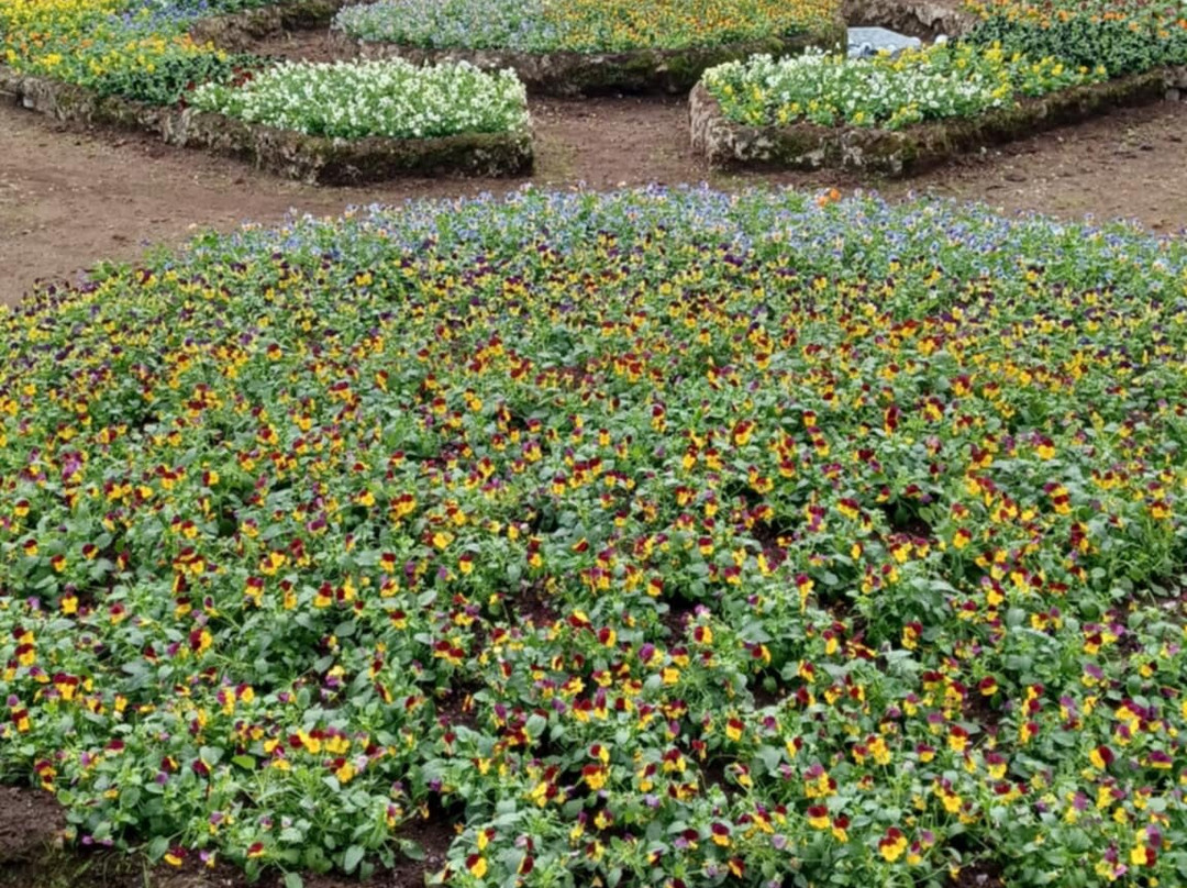 Giardini di Villa Rufolo-拉韦洛必去景点