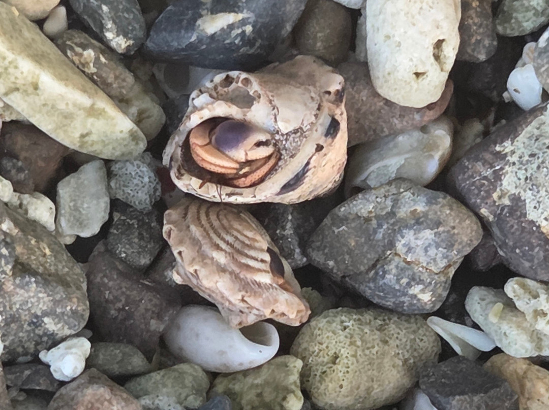 Unique Quality Tours-圣胡安必去景点