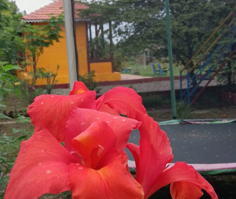 Tillus Agro Tourism-Solapur必去景点