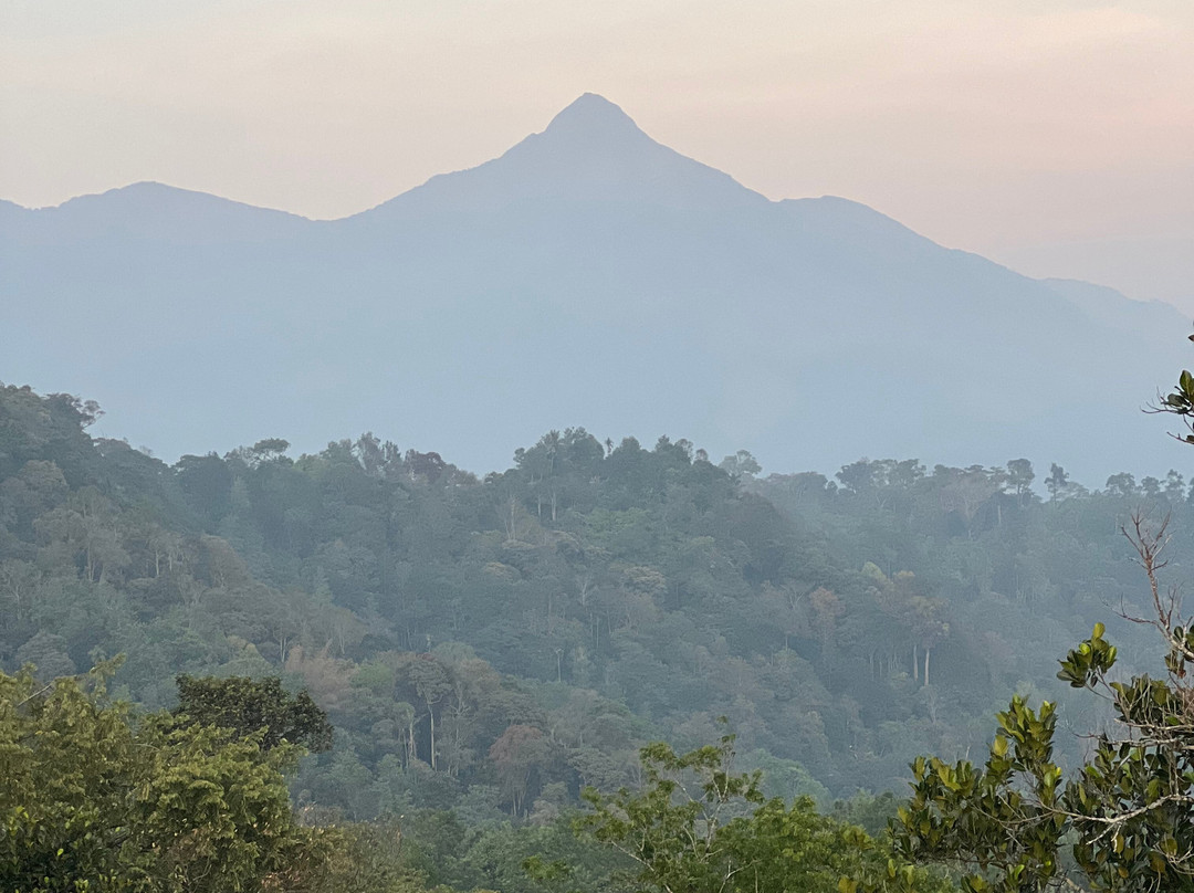 Aveda Mountains And Mist - Munnar主图