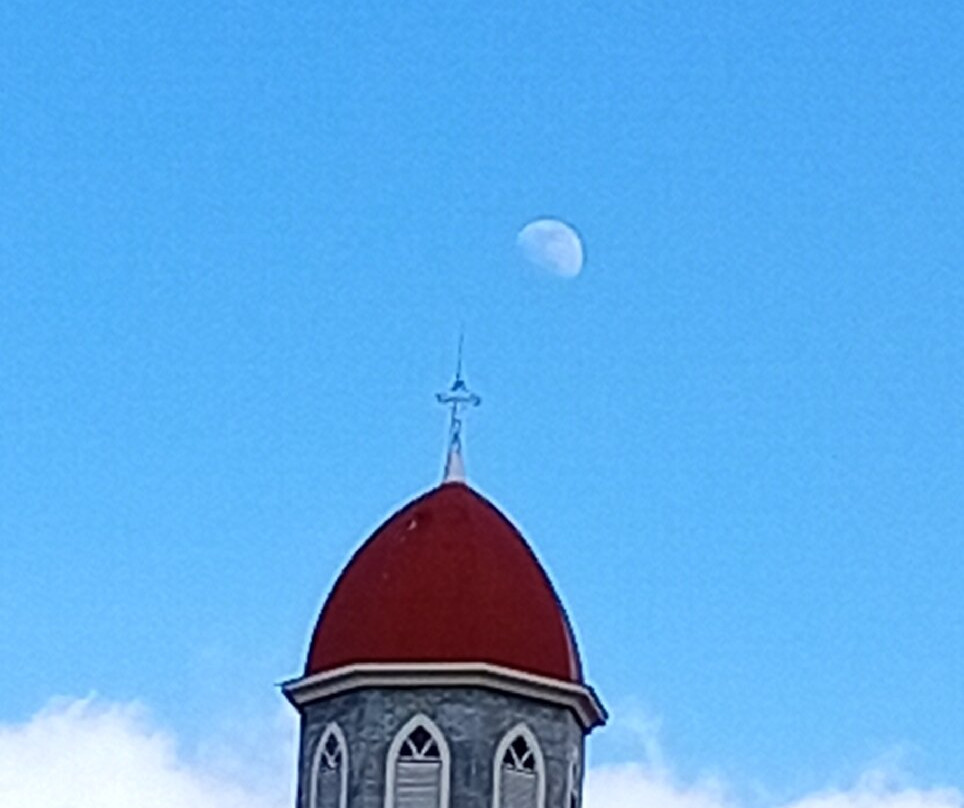 Costa Rica's Senor Scissorhands Topiary-Zarcero必去景点
