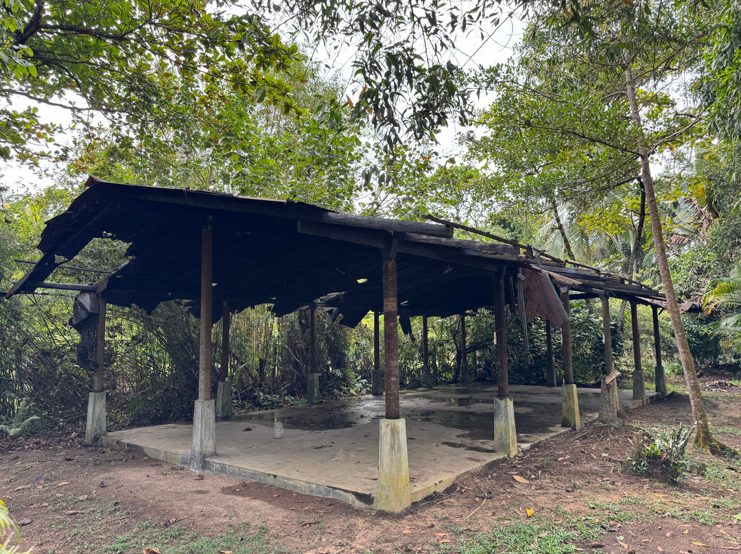 Nisala Arana Boutique Hotel主图