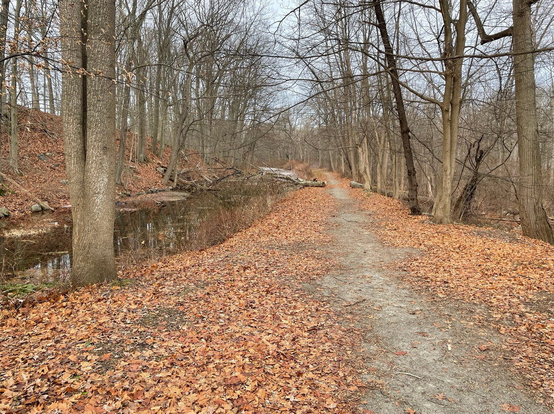 Whistling Swan Inn主图