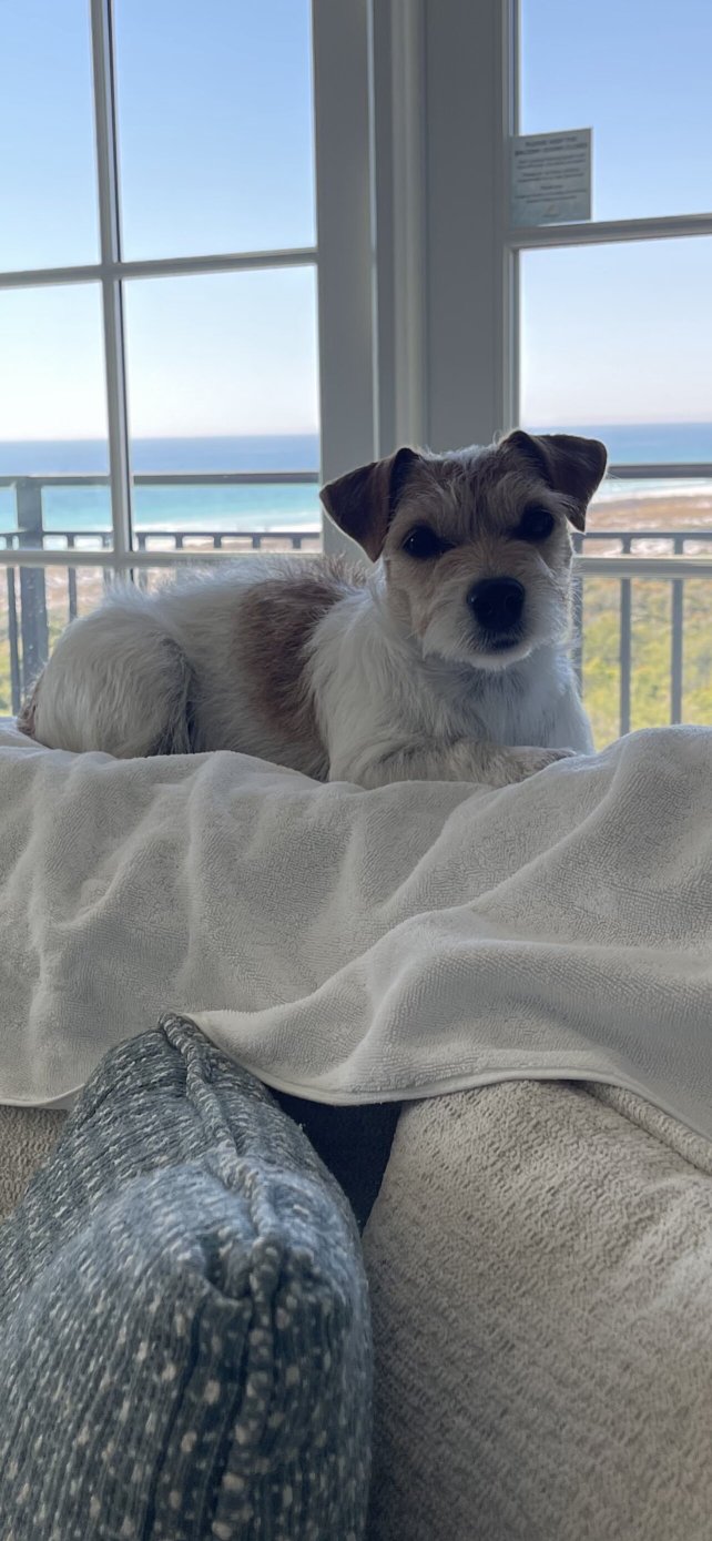 Henderson Beach Resort-官方