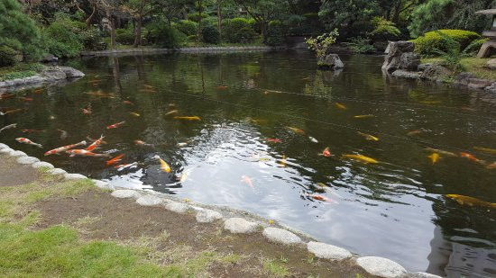 东京王子酒店樱花饭店主图
