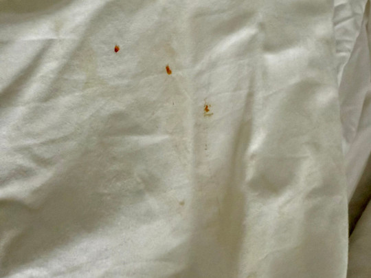 Holiday Inn Express & Suites Cookeville by IHG主图