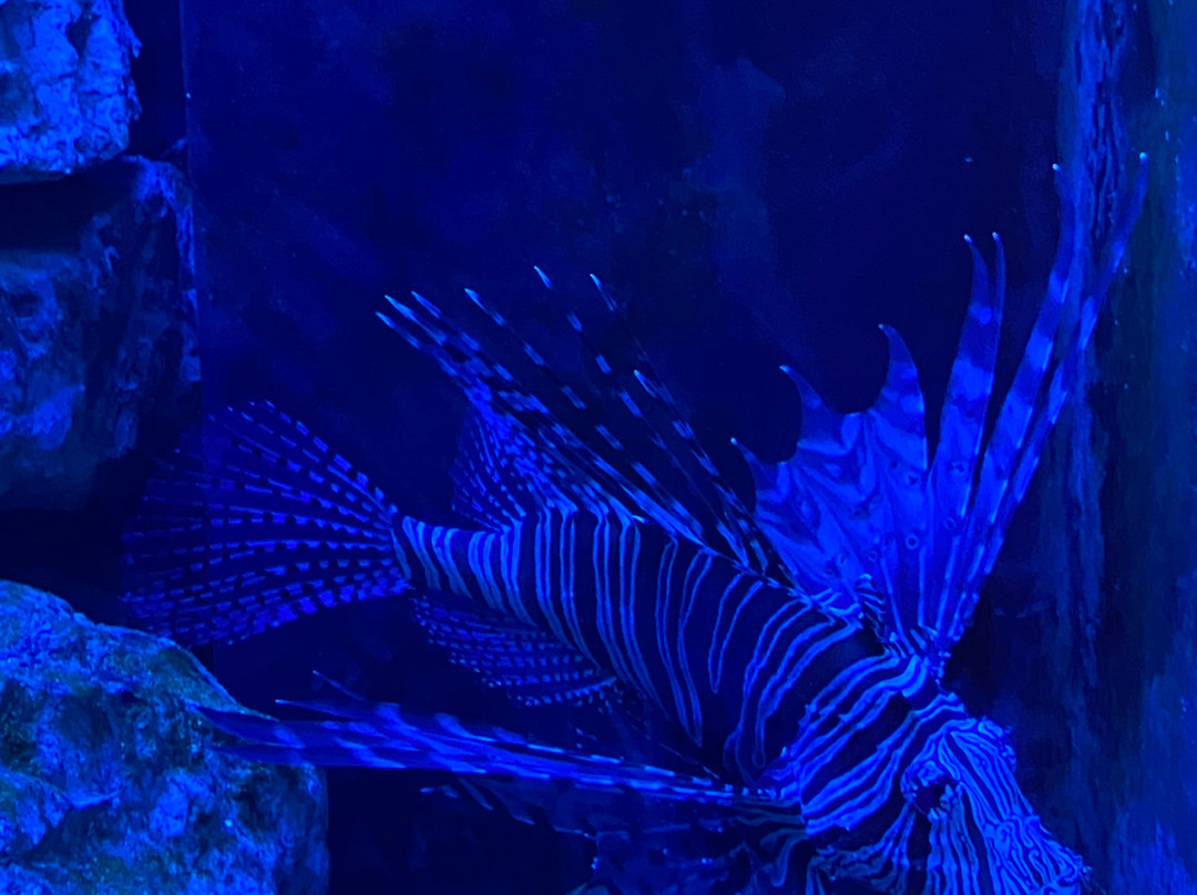 Esapolis - Museo Vivente degli insetti-帕多瓦必去景点