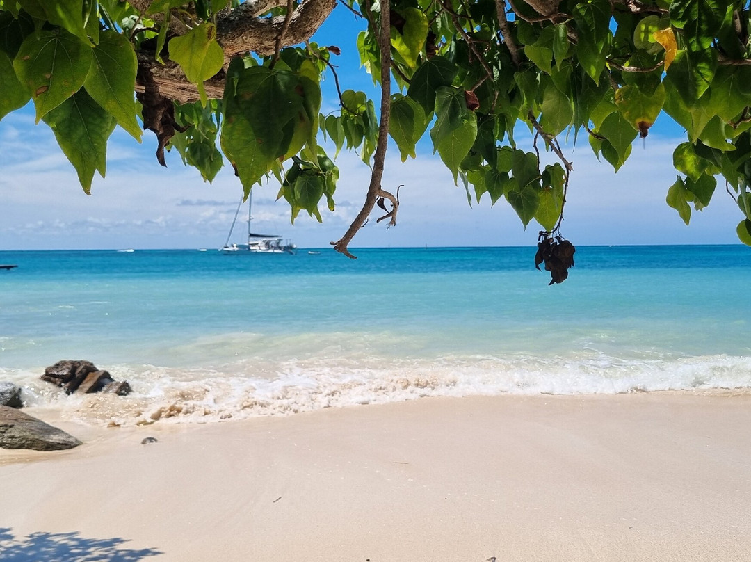Rodgers Beach-San Nicolas必去景点
