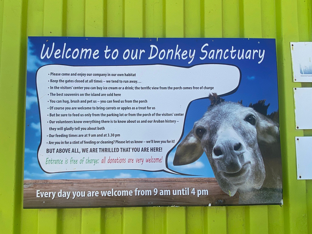 Donkey Sanctuary Aruba-Santa Cruz必去景点