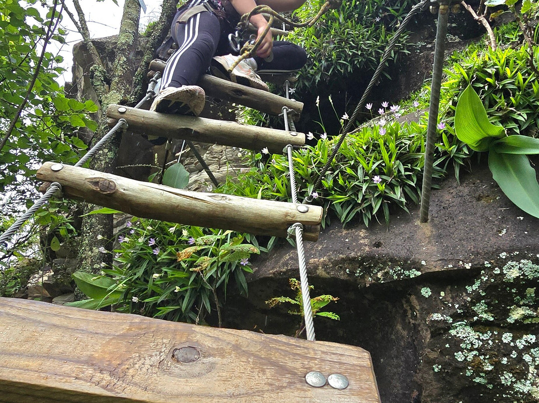 Vertical Rush-Cathkin Park必去景点