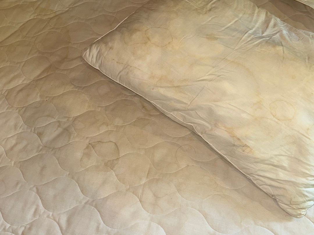 巴厘斯瓦哈酒店主图