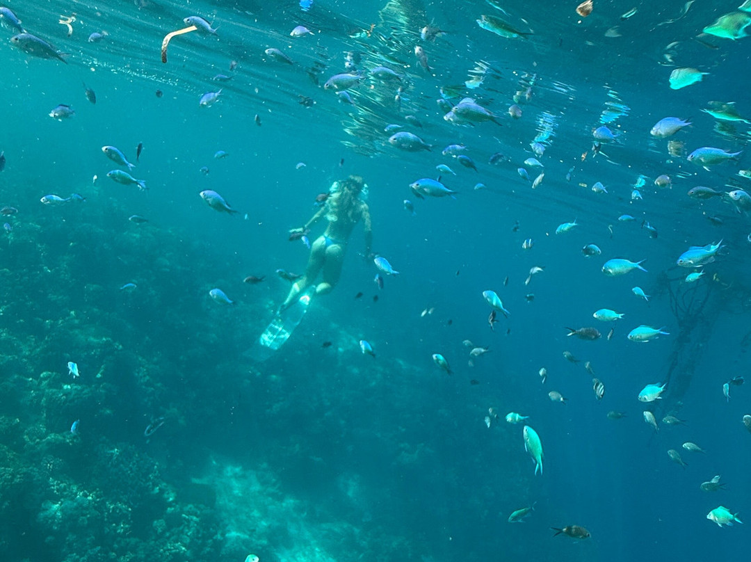 Freedive Academy Panglao-Panglao必去景点