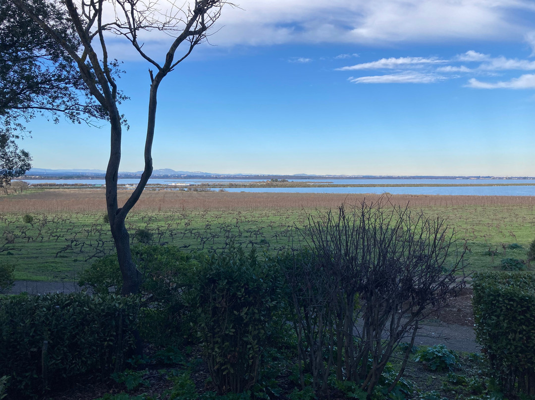 Cathédrale De Maguelone-Villeneuve-les-Maguelone必去景点