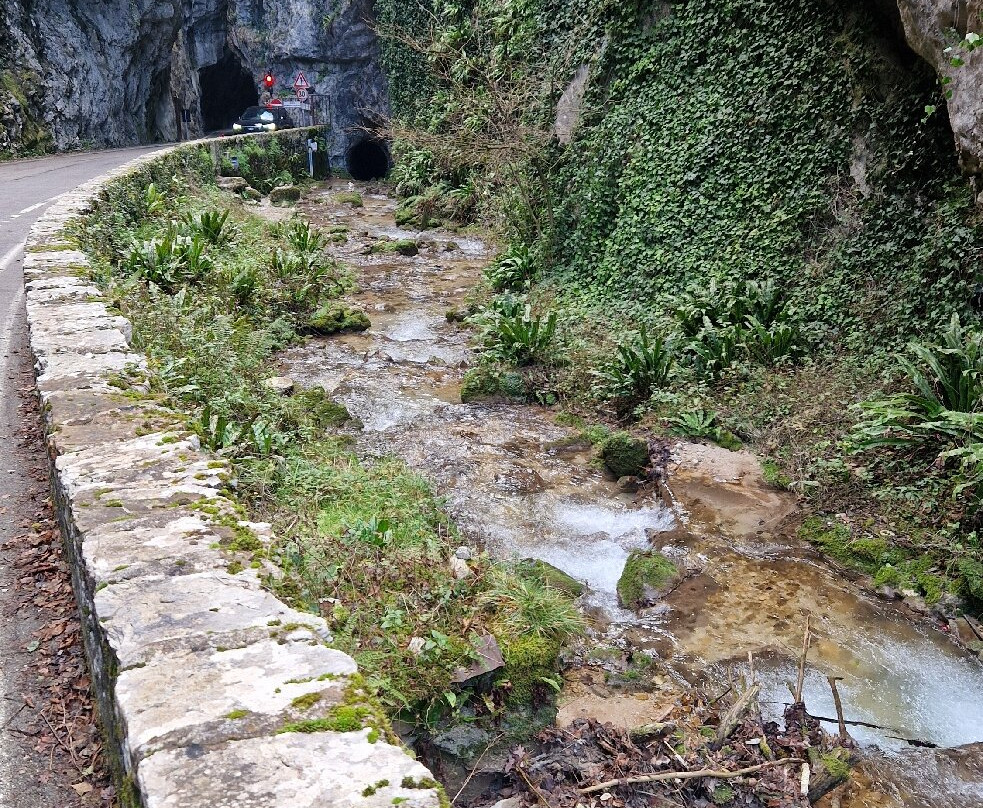 Strada della Forra-Tremosine sul Garda必去景点