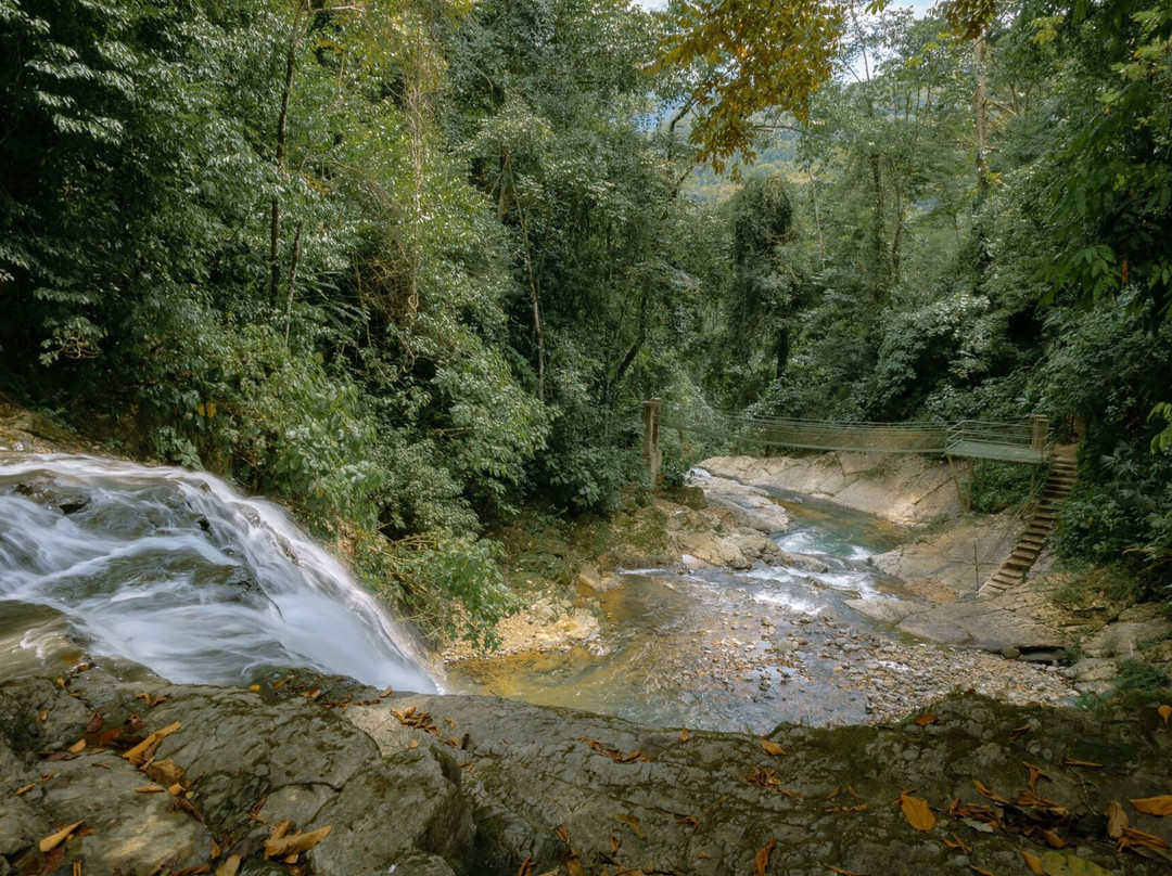 Mulguri Tours-哥斯达黎加安东尼奥国家公园必去景点