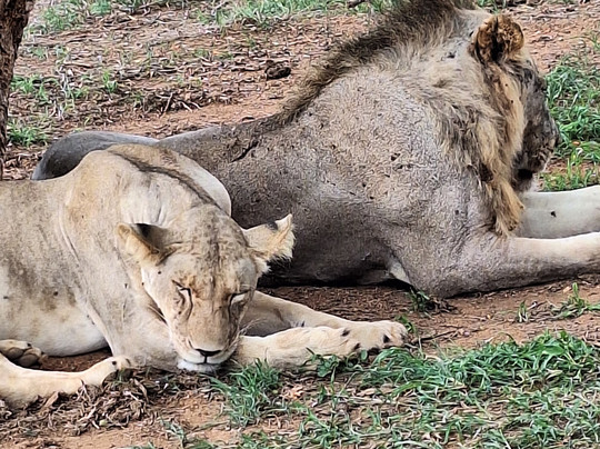 Erick  Safari Kenya-瓦塔木必去景点