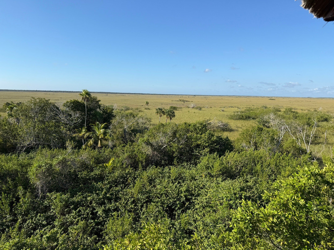 VivaOhlala-普拉亚德尔卡曼必去景点