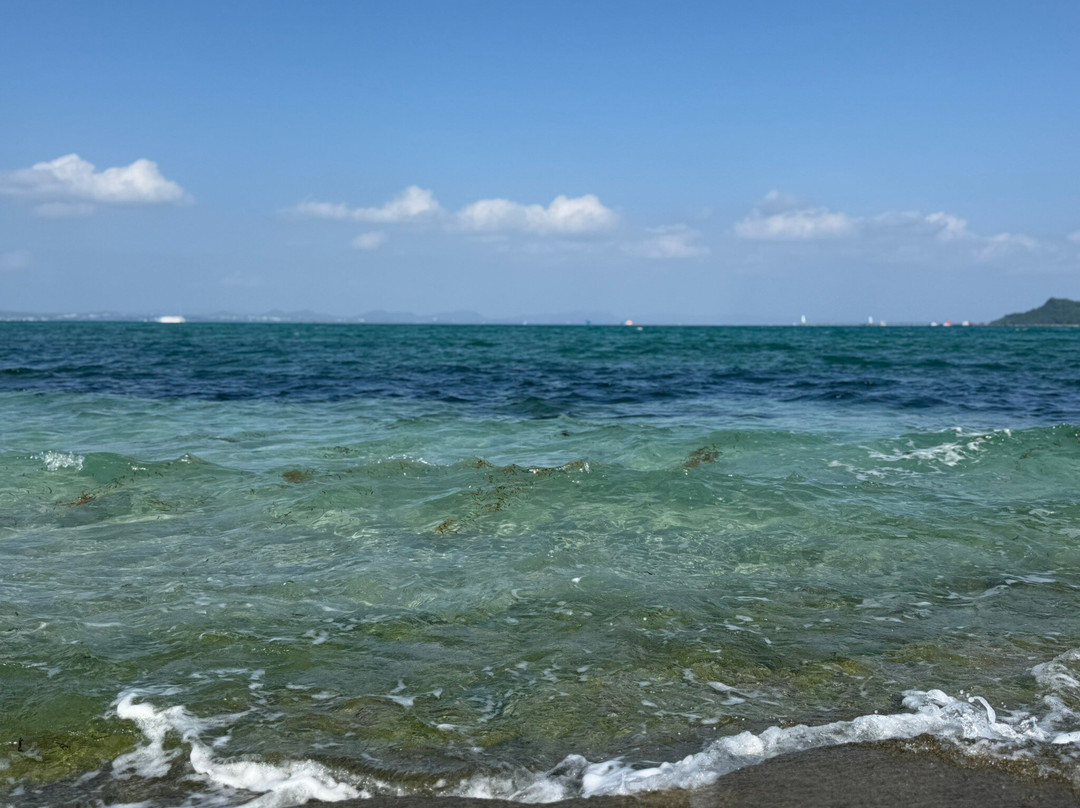 Kaichu Road-宇流麻市必去景点