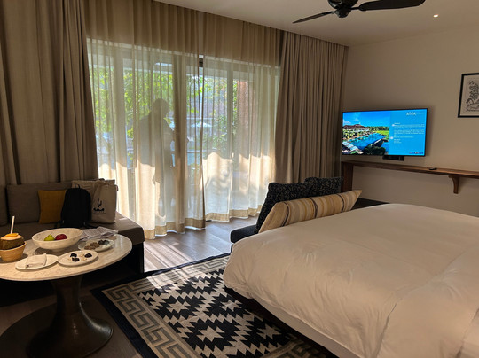 阿丽拉 迪瓦果阿 . 印度主图