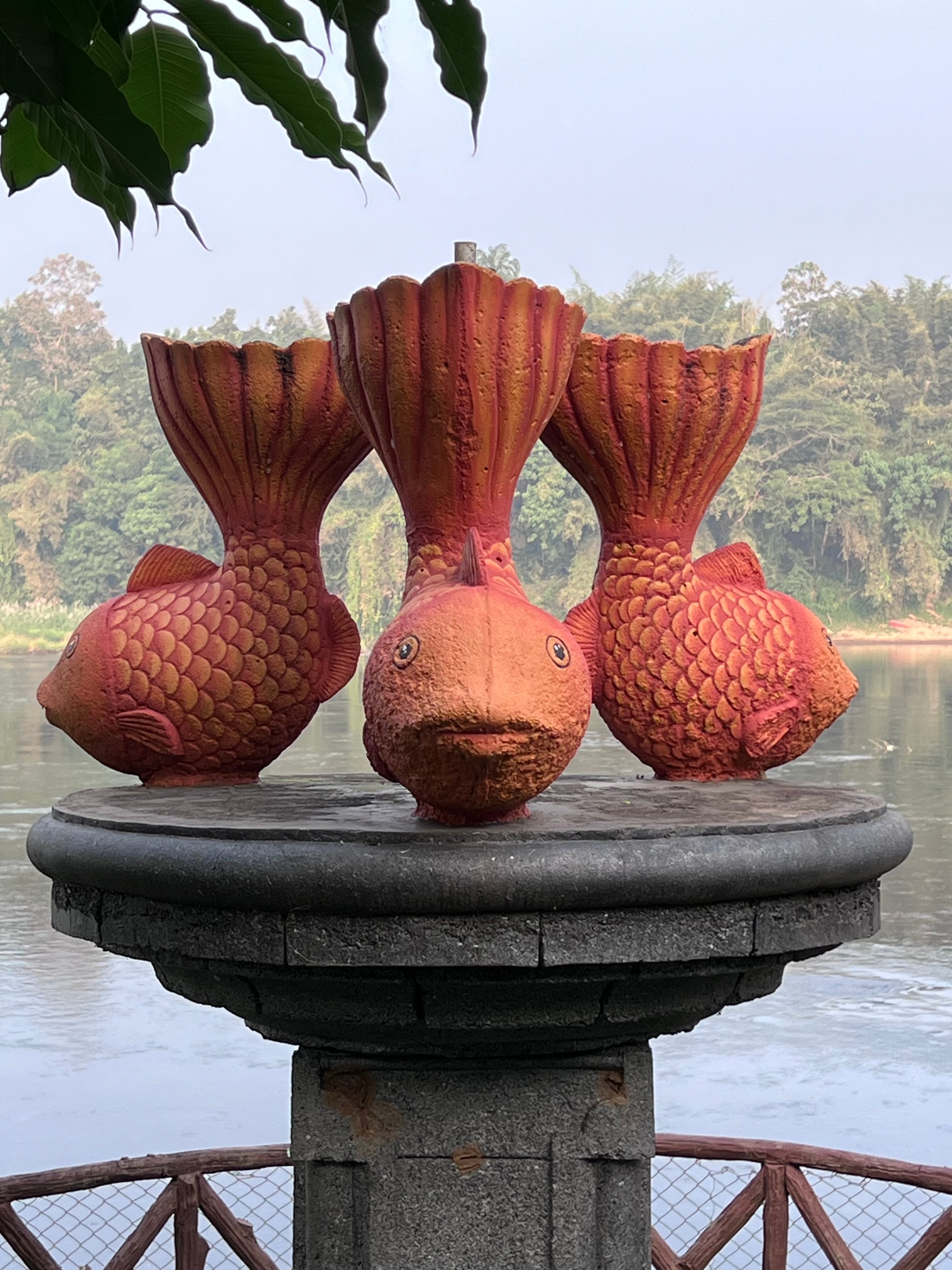 Elephant Pass Ayurveda & Yoga Retreat-官方