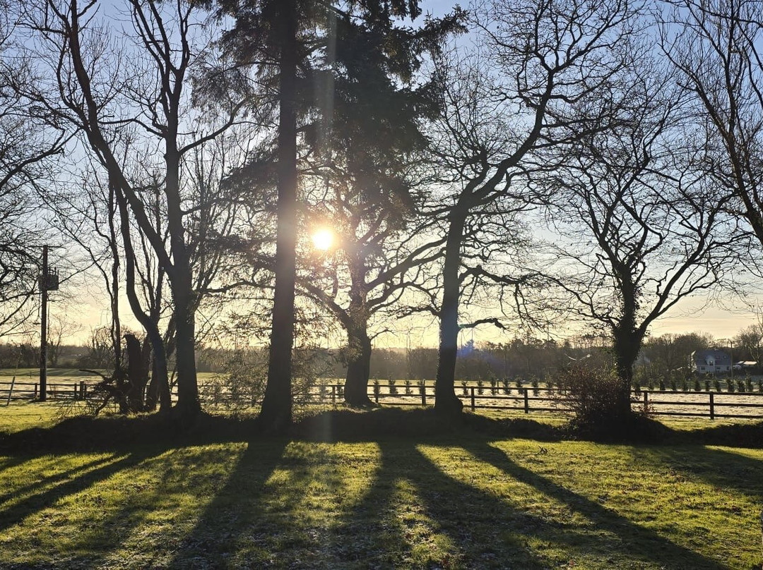 Clonganny House主图