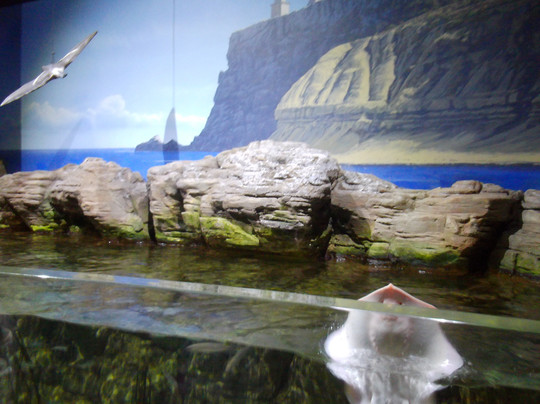 Malta National Aquarium-卡拉必去景点