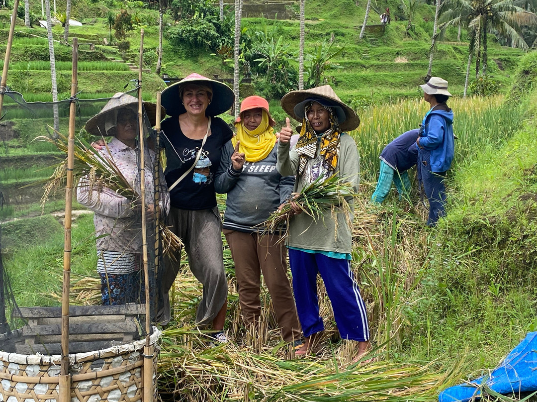 Bali Tour Buddy-乌布必去景点