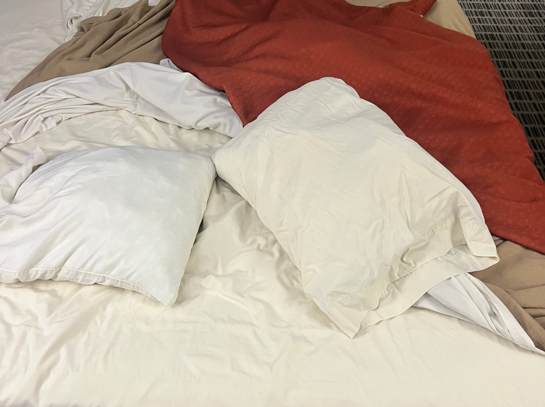 Super 8 by Wyndham Mount Vernon主图