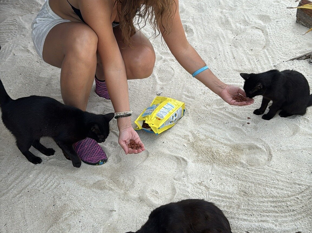 Phuket Cheap Tour-普吉岛必去景点