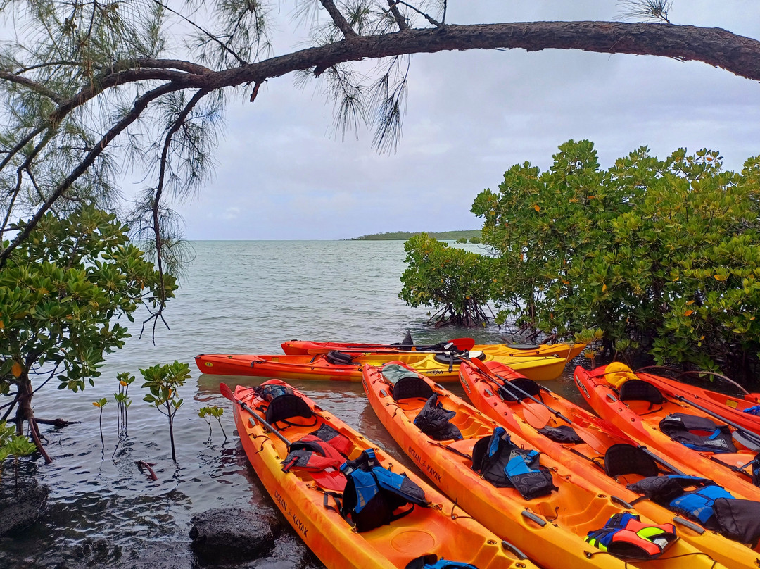 Sea Kayak Adventures-毛里求斯必去景点