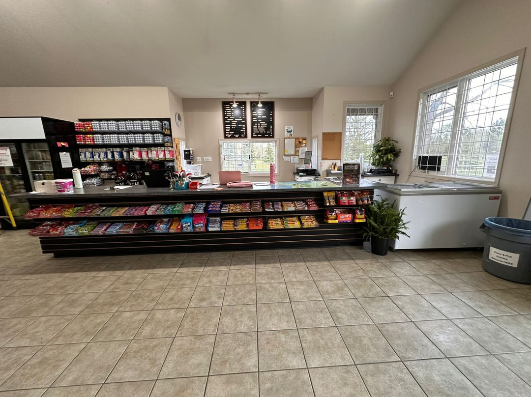 Sandy Beach Regional Park-劳埃德明斯特必去景点